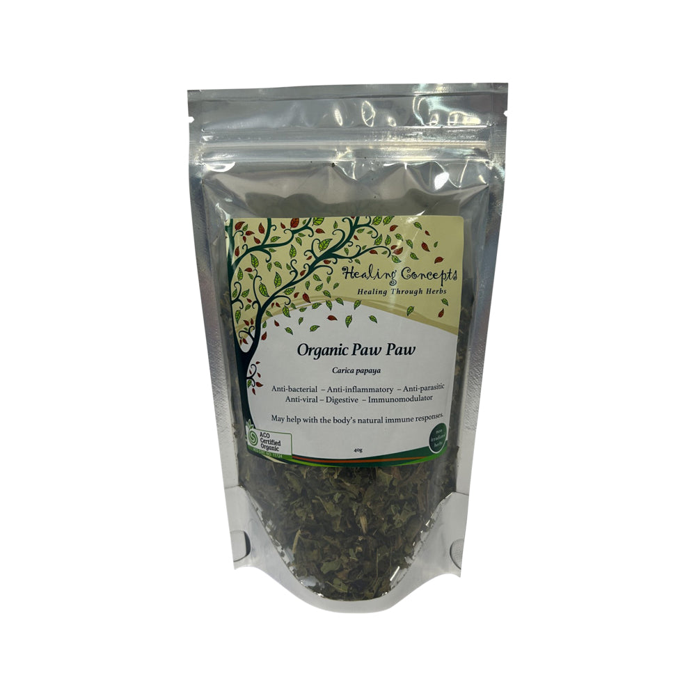 HEALING CONCEPTS Paw Paw Organic 40g