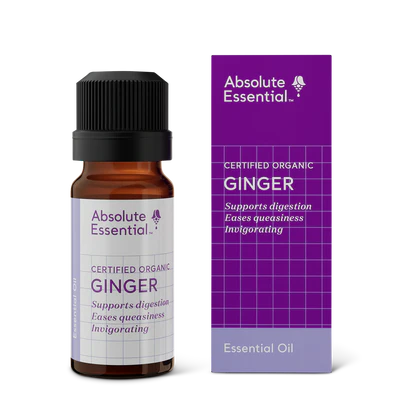 Absolute Essential Ginger Oil Org