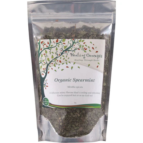 HEALING CONCEPTS Spearmint Tea Organic 30g