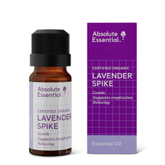 Absolute Essential Lavender Spike Oil Org