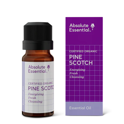 Absolute Essential Pine Scotch Oil Org