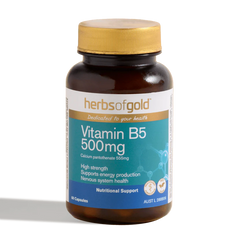 Herbs of Gold Vitamin B5 500mg