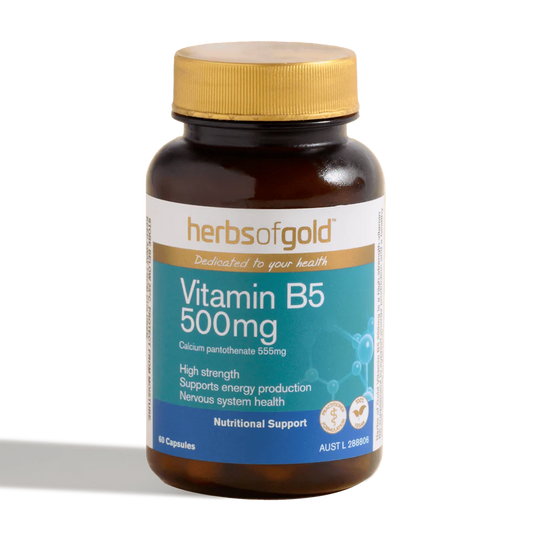 Herbs of Gold Vitamin B5 500mg