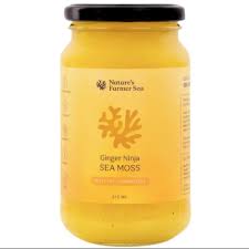 NATURES FARMER SEA Sea Moss Gel - Ginger Ninja 375ml
