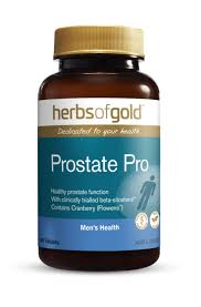 Herbs of Gold Prostrate Pro