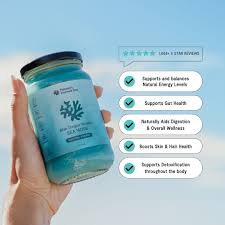 NATURES FARMER SEA Sea Moss Gel - Blue Tongue Wizard 375ml