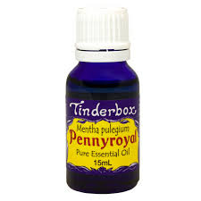 Tinderbox Pennyroyal