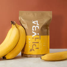 PHYBA PROTEIN Banana 450g