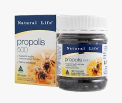 NATURAL LIFE Propolis 500 60c