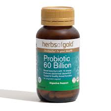 Herbs of Gold Probiotic 60 Billion