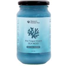 NATURES FARMER SEA Sea Moss Gel - Blue Tongue Wizard 375ml