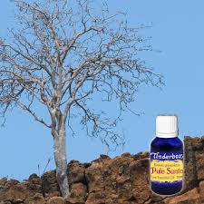 TINDERBOX Palo Santo Essential Oil 15ml