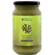NATURES FARMER SEA Sea Moss Gel - Green Warrior 375ml