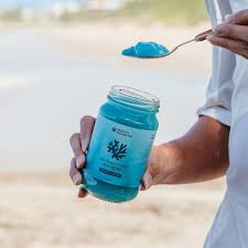 NATURES FARMER SEA Sea Moss Gel - Blue Tongue Wizard 375ml